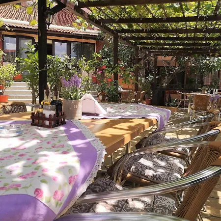 Family Rainbow Szveti Vlasz