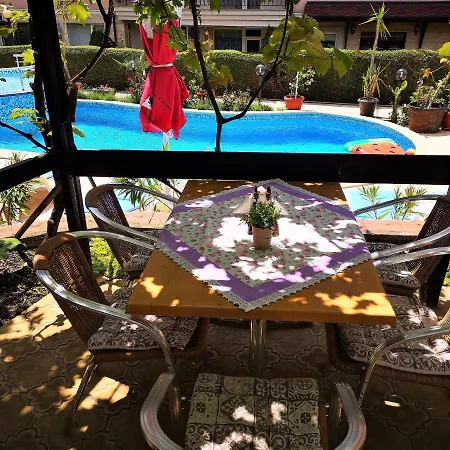 Family Rainbow Szveti Vlasz