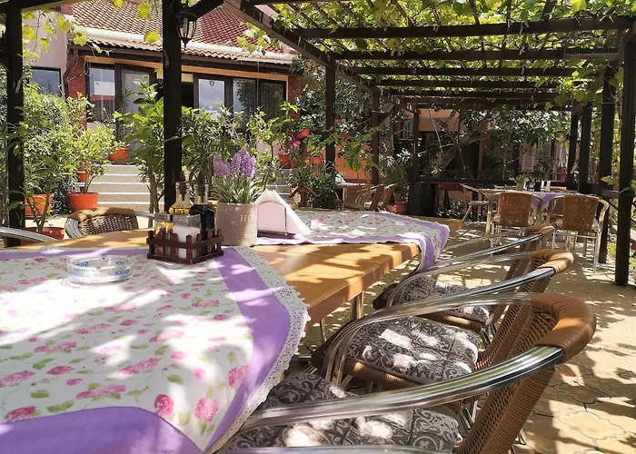 Family Rainbow Свети Влас